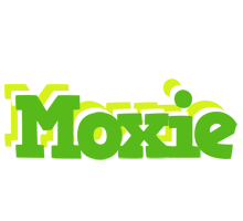 Moxie picnic logo