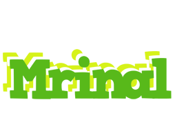 Mrinal picnic logo