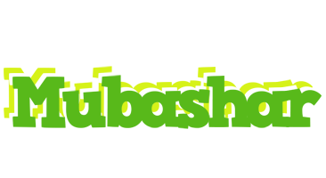 Mubashar picnic logo