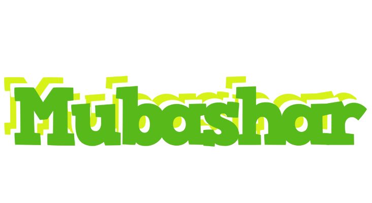 Mubashar picnic logo