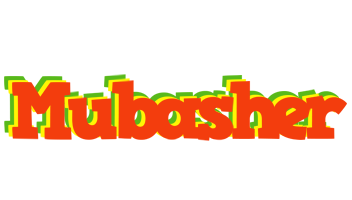 Mubasher bbq logo