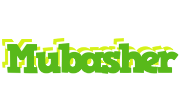 Mubasher picnic logo