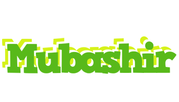 Mubashir picnic logo