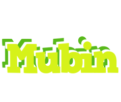 Mubin citrus logo