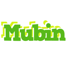 Mubin picnic logo