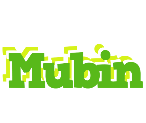 Mubin picnic logo