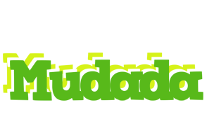 Mudada picnic logo