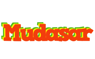 Mudasar bbq logo