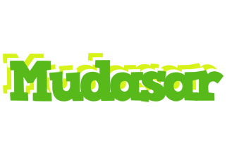 Mudasar picnic logo
