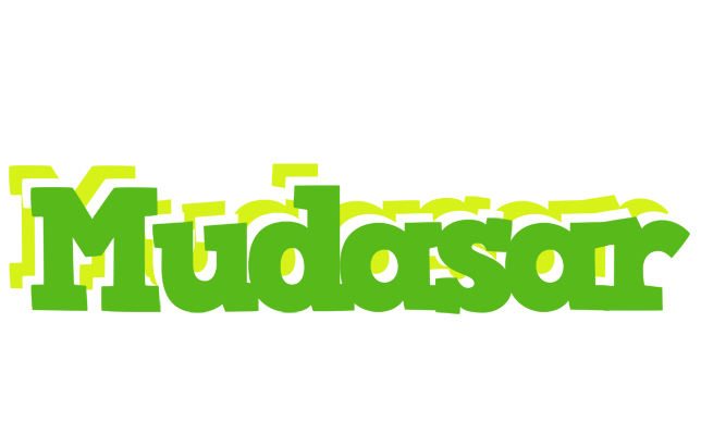 Mudasar picnic logo