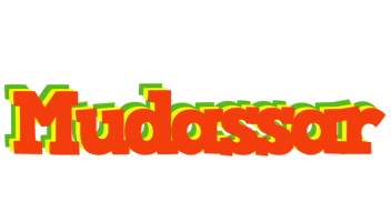 Mudassar bbq logo