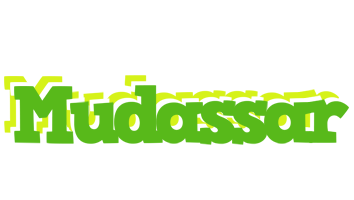 Mudassar picnic logo