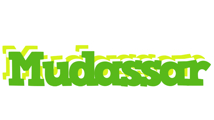 Mudassar picnic logo