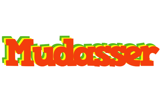 Mudasser bbq logo