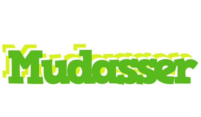 Mudasser picnic logo