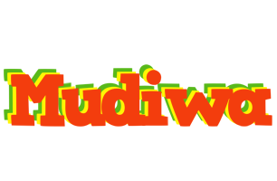 Mudiwa bbq logo