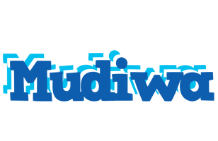 Mudiwa business logo