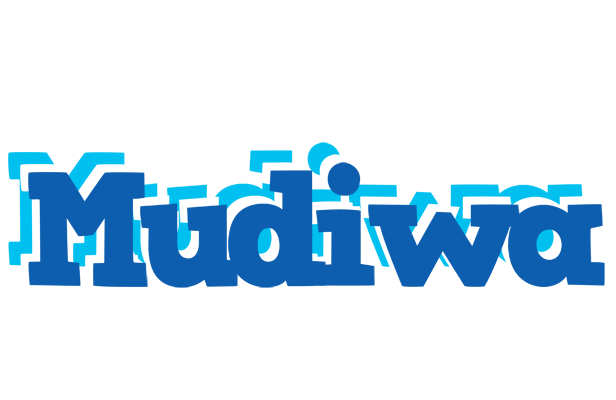 Mudiwa business logo