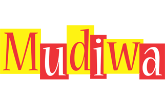 Mudiwa errors logo