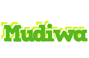 Mudiwa picnic logo