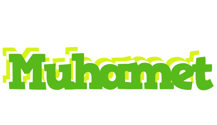 Muhamet picnic logo