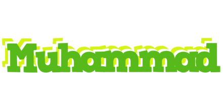 Muhammad picnic logo