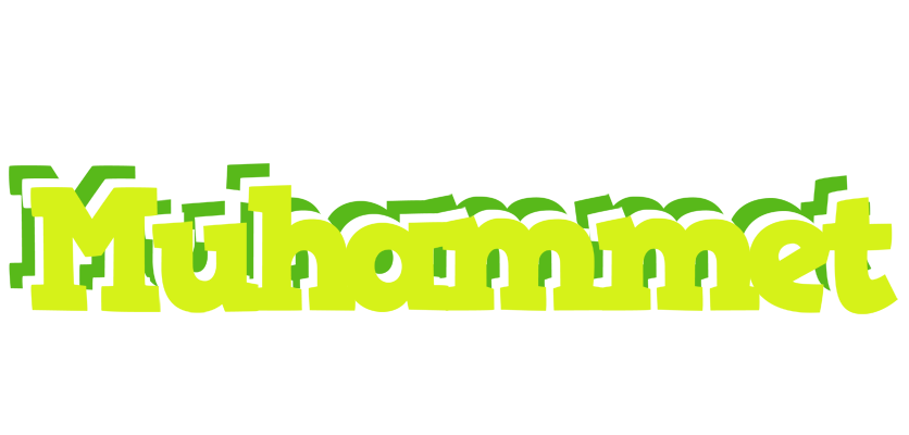 Muhammet citrus logo