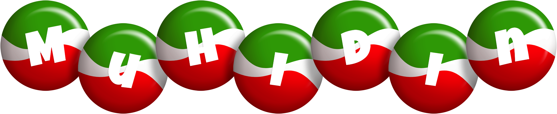 Muhidin italy logo