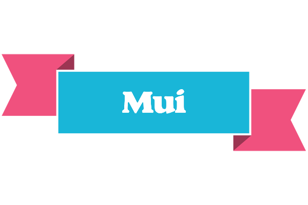 Mui today logo