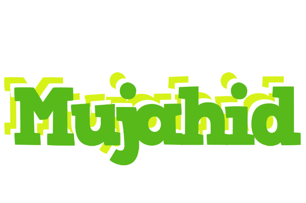 Mujahid picnic logo