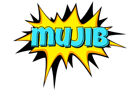 Mujib indycar logo