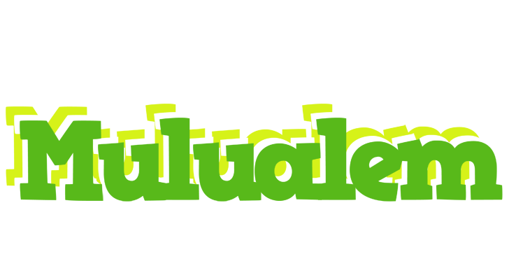Mulualem picnic logo