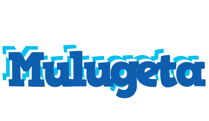 Mulugeta business logo