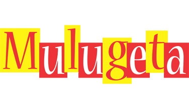 Mulugeta errors logo