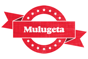 Mulugeta passion logo