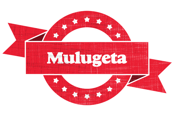 Mulugeta passion logo
