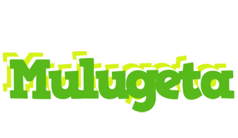 Mulugeta picnic logo