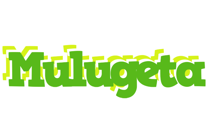 Mulugeta picnic logo