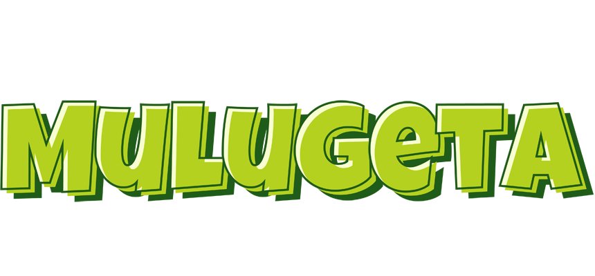 Mulugeta summer logo