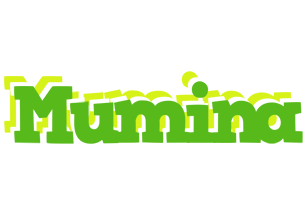 Mumina picnic logo