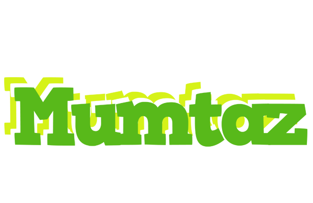 Mumtaz picnic logo