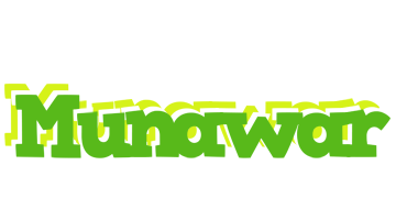 Munawar picnic logo