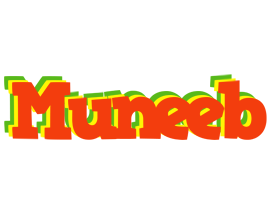 Muneeb bbq logo