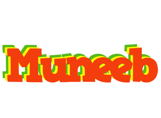 Muneeb bbq logo
