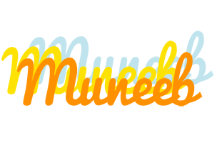 Muneeb energy logo