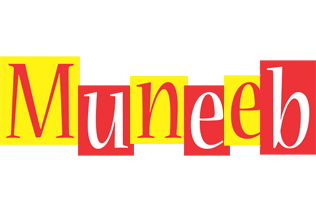 Muneeb errors logo