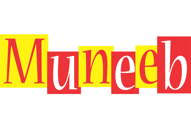 Muneeb errors logo