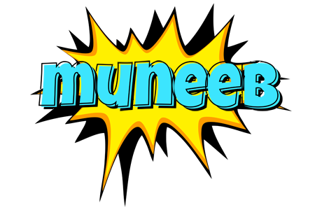 Muneeb indycar logo