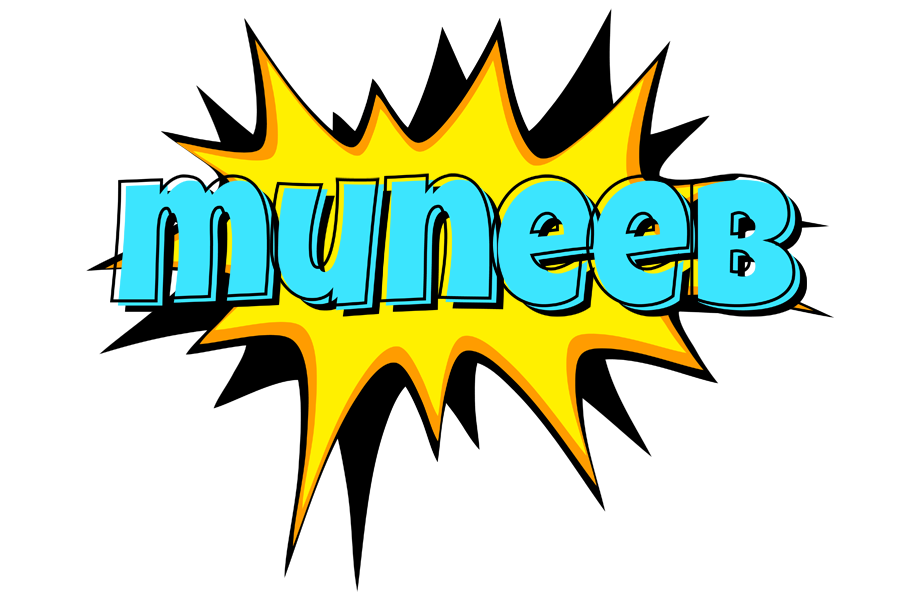 Muneeb indycar logo