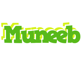 Muneeb picnic logo